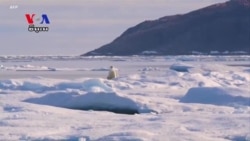 រូបភាព​ថ្មី​ពី​ផ្កាយរណប​បង្ហាញ​ថា​ផ្ទាំង​ទឹកកក​រលាយ​កាន់​តែ​ច្រើន