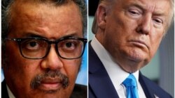 የአሜሪካና የዓለም የጤና ድርጅት ፍጥጫ