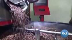 Climate Change Affects Coffee Growers in El Salvador