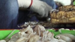 อุตสาหกรรมอาหารทะเลไทยปฏิเสธคำกล่าวหาของกลุ่มพิทักษ์สิทธิมนุษยชนและสื่อตะวันตกเรื่องแรงงานทาส