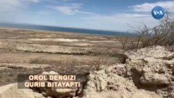 Qoraqalpog'iston: Orol qurib bitayapti
