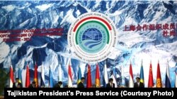 Shanxay-6 Dushanbeda uchrashdi, tafsilotlar fotolarda