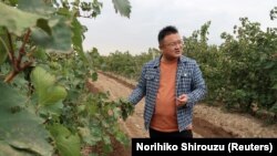 Legacy Peak owner Liu Hai speaks during an interview with Reuters at his vineyard near Yinchuan, Ningxia, China, October 12, 2021. (REUTERS/Norihiko Shirouzu)