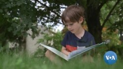 Book Lovers Set Up Little Free Libraries Across America