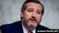 테드 크루즈 공화당 상원의원.