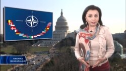 NATO kelajagi qanday?