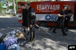 A volunteer evacuates a dog whose owners evacuated from the city of Pokrovsk in the Donetsk region, Sept. 21, 2024. For months, Moscow has been trying to capture Pokrovsk, a now-deserted city that was once home to 60,000.