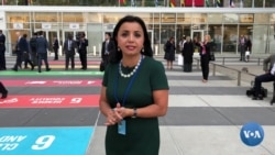 BMT-O'zbekiston: Xalqaro majburiyatlar, atrof-muhit