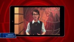 Grin kartaga nima bo'ladi?