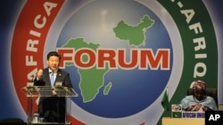 资料照：中国国家主席习近平2015年12月4日在南非约翰内斯堡桑顿会议中心举行的中非合作论坛约翰内斯堡峰会开幕式上发表讲话。在那次峰会上，中国提出要让非洲国家一万个偏远村庄接入卫星数字电视信号。(美联社照片）