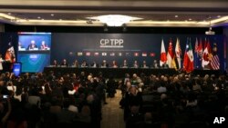Chile's President Michelle Bachelet and representatives of the eleven countries take part in the signing ceremony agree the Comprehensive and Progressive Agreement for Trans-Pacific Partnership, CP TPP, in Santiago, Chile, Thursday, March 8, 2018. (AP Photo/Esteban Felix)