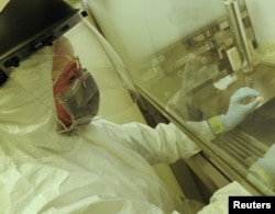 Scientist Elena Essel of the Max Planck Institute for Evolutionary Anthropology works in the institute’s clean laboratory in Leipzig, Germany on the pierced elk tooth discovered in the Denisova Cave in southern Siberia in this undated handout picture. (Max Planck Institute for Evolutionary Anthropology/Handout via REUTERS)