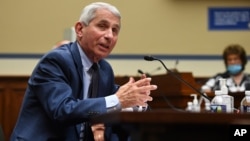 Dr. Anthony Fauci, director of the National Institute for Allergy and Infectious Diseases, speaks during a House Subcommittee on the Coronavirus crisis hearing, July 31, 2020 on Capitol Hill in Washington. 