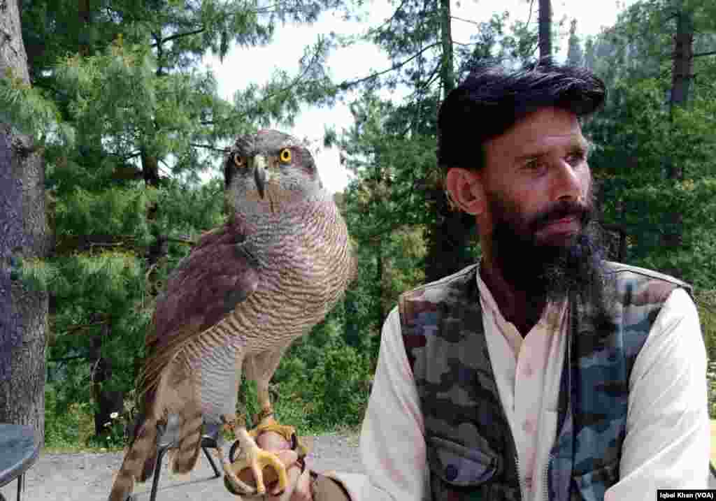 انہی راستوں پر ایسے لوگ بھی موجود ہوتے ہیں جو ہاتھ میں باز یا دیگر پرندے تھامے یادگار تصویر بنانے کا مشورہ بھی دیتے ہیں۔ 