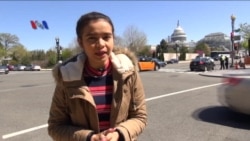 Kontroversi Pembocoran Panama Papers