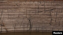 FILE - Trees and water marks are seen on previously submerged land at Guri dam in Bolivar state, Venezuela, April 11, 2016.