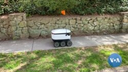 COVID-19 Could Be Robots' Time to Shine