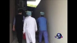 中国禽流感疫情