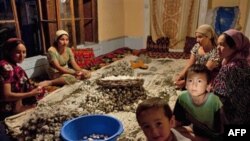 Yangi Ipak Yo’li, deydi ekspertlar, bozor iqtisodiyotini rivojlantirishda yordam beradi. O'zbekistondek davlatlarga o'z mahsulotlarini yirik portlarga olib chiqish imkoniyatini yaratadi.