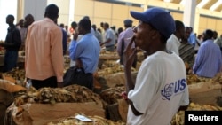 FILE - A worker smokes a cigarette at the opening of the 2012 selling season at Zimbabwe's Boka Tobacco Sales Floor in Harare, Feb. 15, 2012.