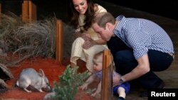 Catherine, the Duchess of Cambridge, and her husband, Britain's Prince William, watch as their son Prince George looks at an Australian animal called a bilby during a visit to Sydney's Taronga Zoo, April 20, 2014.