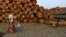 A woman walks with children near logs at a timber yard in Rangoon, Burma, also known as Myanmar, Jan. 31, 2014. 