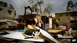 Efrain Diaz Figueroa, right, walks by his sister's home destroyed in the passing of Hurricane Maria, in San Juan, Puerto Rico, Monday, Oct. 9, 2017. (AP Photo/Ramon Espinosa)