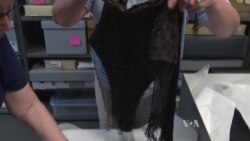 In Harford County, Volunteers Restore and Preserve Old Garments