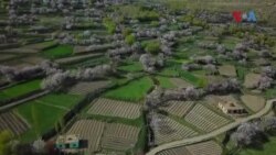 چندا ویلی: سیاحوں کی منتظر جنت نظیر وادی