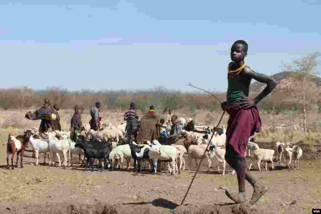 The Karimojong are traditionally semi-nomadic pastoralists, but their herds are fast disappearing, driving people into mining, March 2, 2014. (Hilary Heuler for VOA)