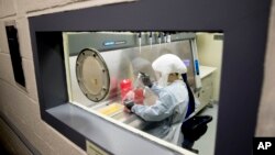 2020年3月19日档案图片: 美军德特里克堡陆军传染病医学研究所科学家安德里亚·卢凯特正在做试验