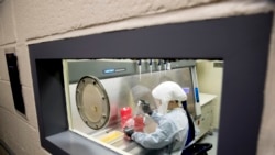 资料照片：美军德特里克堡陆军传染病医学研究所科学家正在做实验。（2020年3月19日）