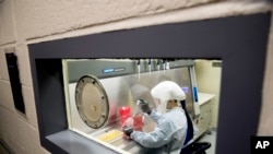 FILE - In this March 19, 2020, photo scientist Andrea Luquette cultures coronavirus to prepare for testing at U.S. Army Medical Research and Development Command at Fort Detrick in Frederick, Md.,