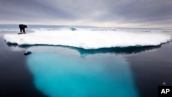 FILE - An Inuit seal hunter touches a dead seal atop a melting iceberg near Ammassalik Island, Greenland. The government on Greenland which could be sitting on vast amounts of oil, has decided to suspend all oil exploration, July 16, 2021.