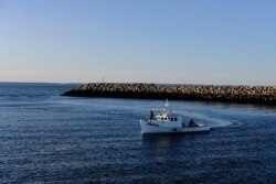 Fishermen from the Sipekne'katik band, part of the First Nations Mi'kmaw community who began harvesting lobster outside of the commercial season, return to port in Saulnierville, Nova Scotia, Canada, Sept. 22, 2020.