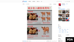 Warga Tiongkok mulai bisa memberikan komentar mengenai kebijakan pemerintah melalui Weibo, mikroblog seperti twitter yang populer di negara itu. Gambar ini menunjukkan diskusi terkait janji Hu Jintao untuk menggandakan pendapatan warga Tiongkok tahun 2020 (Foto: dok). 