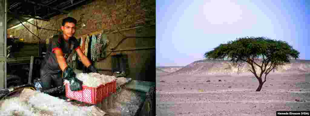 Left: &quot;I go to agricultural school but I work in recycling and during my days off, I work with building construction to pay for my school fees and help my family. I would like to cultivate a land in the desert,&quot; said Ali Hassan Asiute. Right: Part of the western desert of Egypt.