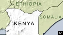 US Action Divides Kenya's Leadership