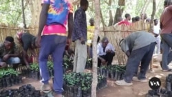 World Bank helps Malawi’s poorest tackle climate shocks