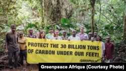 Baye ya Greenpeace Afrique na bavandi na parc ya Salonga, na Cuvette centrale, bazali kosenga bobatelami ya 30 millions ya tonnes ya carbone, le 8 août 2019. (Twitter/Greenpeace Afrique)