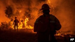 សមាជិក​នៃ​ក្រុម​ពន្លត់​អគ្គីភ័យ Grizzly ព្យាយាម​ពន្លត់​ភ្លើង​ដែល​ឆេះ​នៅក្នុង​ក្រុង Carmel នៅ​ជិត​ជ្រលងភ្នំ Carmel Valley នៅ​រដ្ឋ California កាលពី​ថ្ងៃអង្គារ ទី១៨ ខែសីហា ឆ្នាំ២០២០។