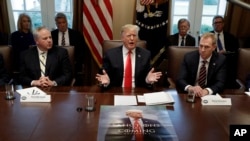 President Donald Trump speaks during a cabinet meeting at the White House, Wednesday, Jan. 2, 2019, in Washington. 