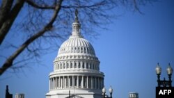 Zgrada američkog Kongresa (Foto: AFP/Mandel Ngan)