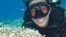 Marine biologist Danielle Dixson has done extensive research on coral reefs.