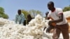 Production cotonnière: Le Burkina veut reconquérir sa place de leader