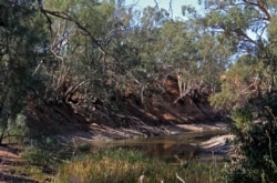 FILE - The drought-affected Darling River sits well below its banks at Pooncarie, a town in outback western New South Wales, Australia, April 25, 2019.