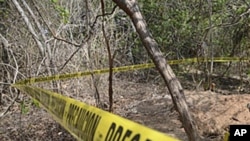 Mexico authorities discover a mass grave containing seven bodies (File)