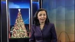 Botanika bog'ida - Washington DC