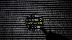 Students Learn to Hack Computer Systems