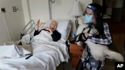 Jeff Philipson, 80, left, reacts as therapeutic activities worker Kate DelPizzo arrives for a visit with Zeus at The Hebrew Home at Riverdale in New York, Wednesday, Dec. 9, 2020.